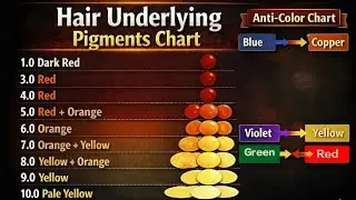 Underlying Pigments & Anti-Colors ( Lecture 04 ) The Secret Behind Perfect Hair Color