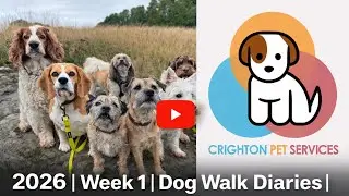 2026 | Week 1 | Dog Walk Diaries | #dogs 