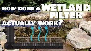 How Does A Wetland Filter (Bog) Work?