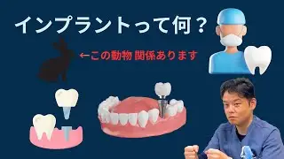 インプラントって何？うさぎの実験による歴史から解説！
