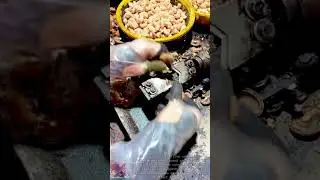 Quick Cashew Sheller || Useful Tools