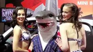 New Mini Cooper and Shark