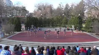 Buckeye Twirl 