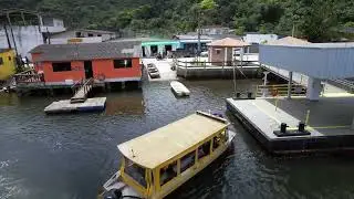Ariri (Cananéia)