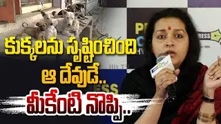 కుక్కలను సృష్టించింది ఆ దేవుడే..మీకేంటి నొప్పి.. | Renu Desai Shocking Comments@HitTVExclusive