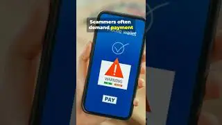 Lost Pet Scam Warning: How Fraudsters Are Targeting Pet Owners in 2026
