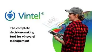 Vintel&reg;