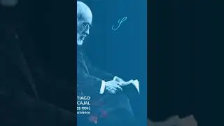 The Artist Who Conceptualized Neural Communication