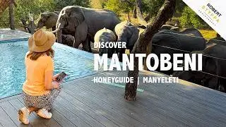 MANTOBENI HONEYGUIDE (SOUTH AFRICA): Luxury Safari Camp &ndash; Luxury Glamping in Manyeleti (Kruger NP)