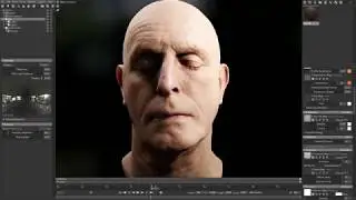 Toolbag Skin Material Setup.