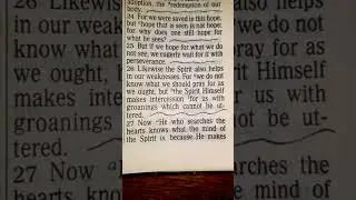 Romans 8:26 (The SPIRIT HIMSELF makes Intercession for us with groanings that cannot be uttered)