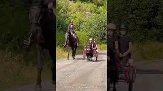 I love to do this with my daughter😍 #shorts #horse #pony #family