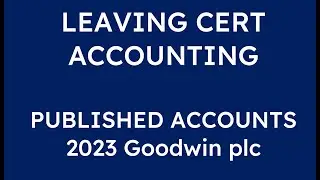2023 GOODWIN PLC PUBLISHED ACCOUNTS | LEAVING CERT ACCOUNTING