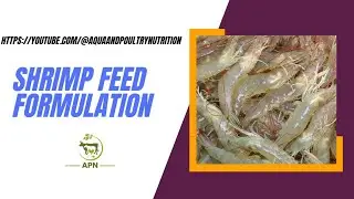 Shrimp Feed Formulation