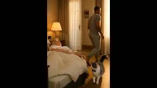 Will Smith Wakes Up Trump While Cat Waits with Melania | Morning Mayhem Begins 😲⏰🐱