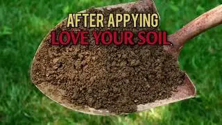 Jonathan Green's New American Lawn Plan | BestYardTips