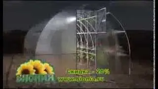 b3p