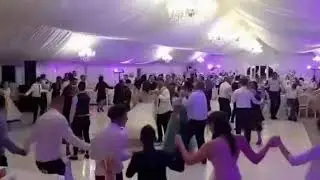 Ucu&Alex Ialis nuntă live 2019 Marius si Persida !!!