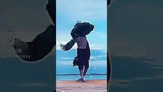 Therian tiktok completion☆