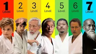The 7 Levels of Aikido