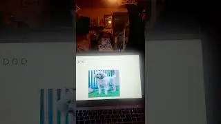 P O O D O O