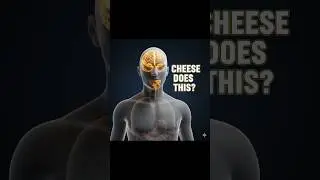 This Is What Cheese Does To Your Brain 🧠
