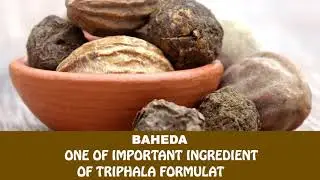 Herbal hills Baheda Powder for market place