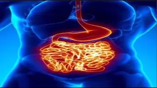 Stomach Healing Frequency-Improve Your Digestive System