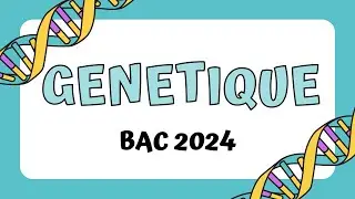 Bac 2024 Génétique formelle