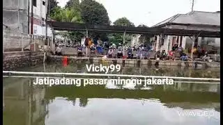 Sudah Kemana Aja Mancingnya.?