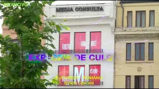 NEXNOVO's LED media wall for Media Consulta