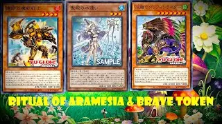 (YGOPRO)Ritual of Aramesia & Brave Token deck,Aquamancer of the Sanctuary new
