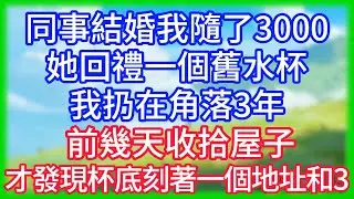【爽文】同事結婚我隨了3000，她回禮一個舊水杯，我扔在角落3年，前幾天收拾屋子，才發現杯底刻著一個地址和3！