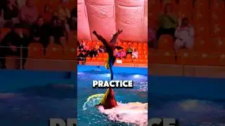 He's literally the dolphin GOD!