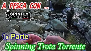 A Pesca con Roberto: Tutti i Segreti della Pesca a Spinfly in Torrente! - 1a parte