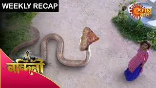 Nandini - Weekly Recap | 04 Oct - 10 Oct 2020 | Sun Bangla TV Serial | Bengali Serial