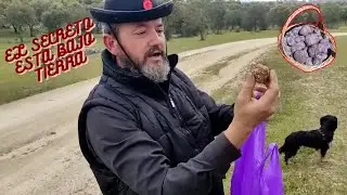 Buscando CRIADILLAS DE TIERRA Segunda temporada🌱🌱