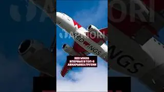 Red Wings впервые в топ-5 авиарынка Грузии🇬🇪🇷🇺