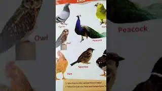 STUDY TIME - GK + ENGLISH | LEARN BIRDS NAME AND WRITE MISSING LETTER A TO J BY NITASHA SAHAY.