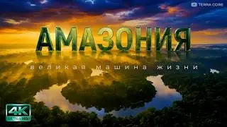 АМАЗОНКА: Жестокая машина жизни | Документальный фильм | 4K | Дикая природа | Джунгли Амазонки
