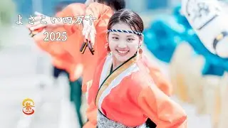 【公式】（不破八幡宮 会場）よさこい四万十２０２５／祭屋よさこい踊り子隊／４K