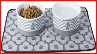 Bone Dry Paw & Patch Ceramic Pet Collection, Medium Set, 6x2