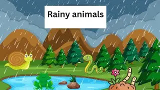 Rainy animals for kids| learning video| rainy season