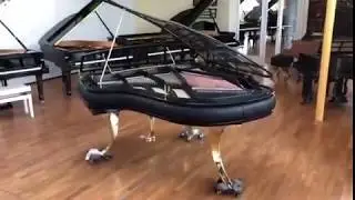 Bluthner PH acrylic grand piano
