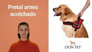 El mejor Pretal Arnes acolchado para perro