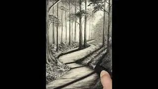 How to Draw a Forest Path with Pencils #charcoaldrawing #art #drawing #sketch #landscapedrawing