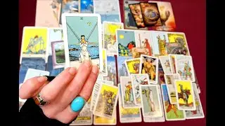 STIER FEBRUAR 2026 ★ Deine Pläne treffen auf Widerstand ★ TAROT ORAKEL