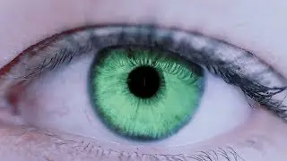 Tous les voyants sont au vert pour l'iTHERM TrustSens