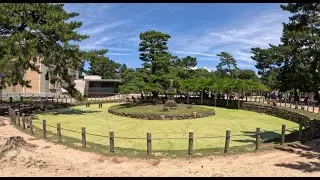 Nara Park and Nakatanidou Mochi - Summer 2025