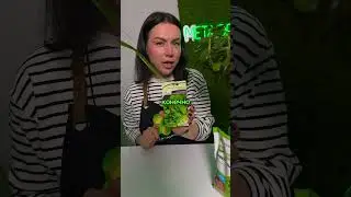 What vegetables should I plant in January?